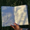 Lyrics & Stories – book - Image 3