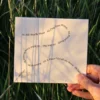 Proud Snail! (CD) - Image 2